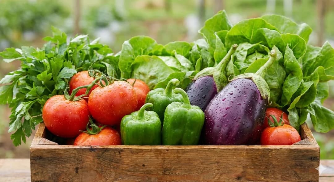 Cassetta di verdure fresche italiane - pomodori, peperoni, melanzane e insalata